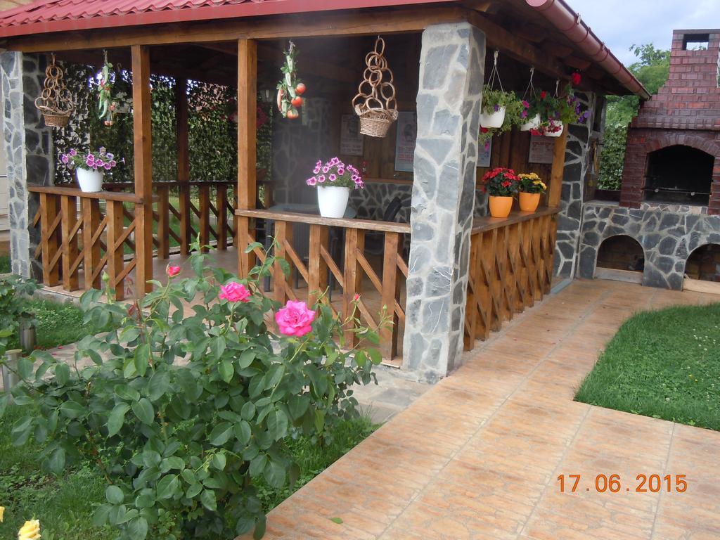 Pensiunea Marina Campina Esterno foto
